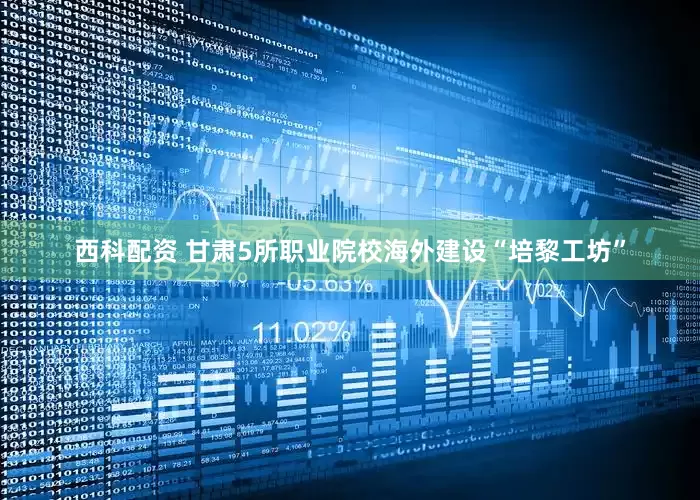 西科配资 甘肃5所职业院校海外建设“培黎工坊”