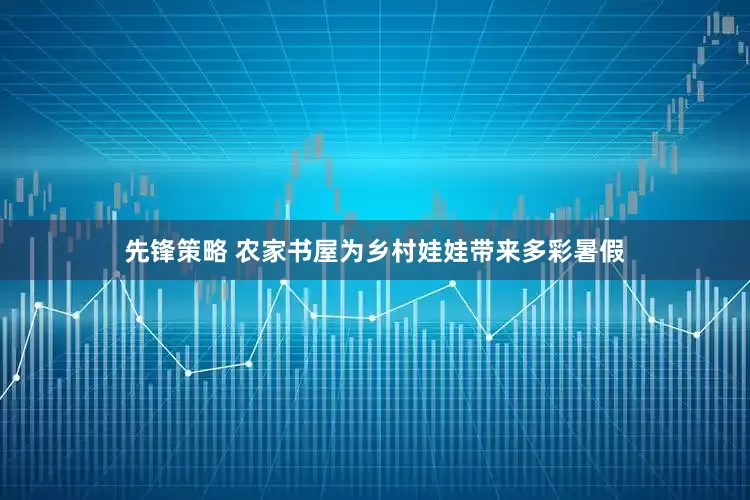 先锋策略 农家书屋为乡村娃娃带来多彩暑假